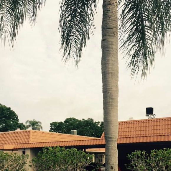 Meet your Posher, Alvin - Picture 1 of 1